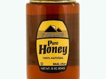 Pure Honey (Pyramid) 16 oz (454g) For Sale