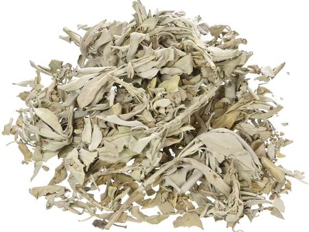 Sage Leaves, 3.5 oz (100g) Online