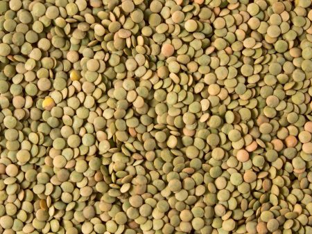 Whole Green Lentils, Small, 16oz Online now