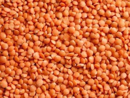 Red Lentils, 32 oz Fashion